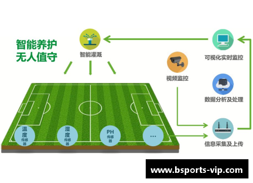 球场风云：颠覆惯例！一次性处罚多人刷新纪录